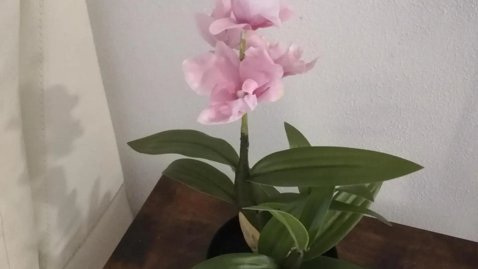 Emerald Guest House Florence Italy